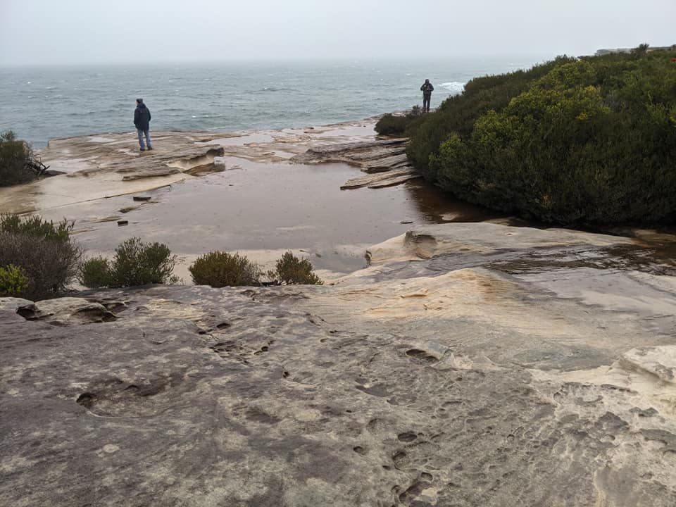 Kurnell Bushwalk 02